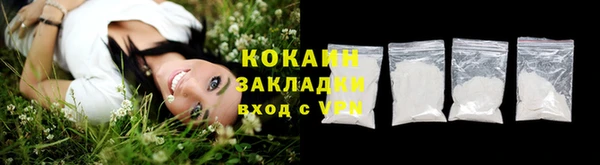 крисы Магас