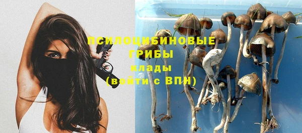 мескалин Арсеньев