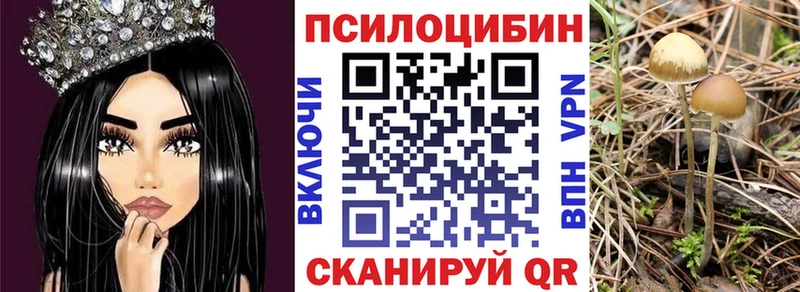 Галлюциногенные грибы Psilocybe  Купить закладки  Усть-Лабинск 